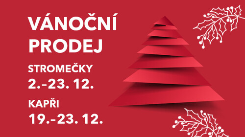 Vánoční prodej – stromečky a kapři